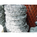 Traditionele twist Iowa Barb Wire